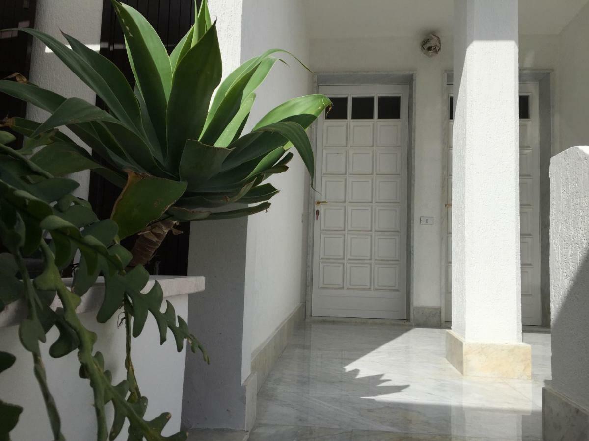 Casa Sul Mare - Wifi Free - Parcheggio Privato Lejlighed San Foca Eksteriør billede