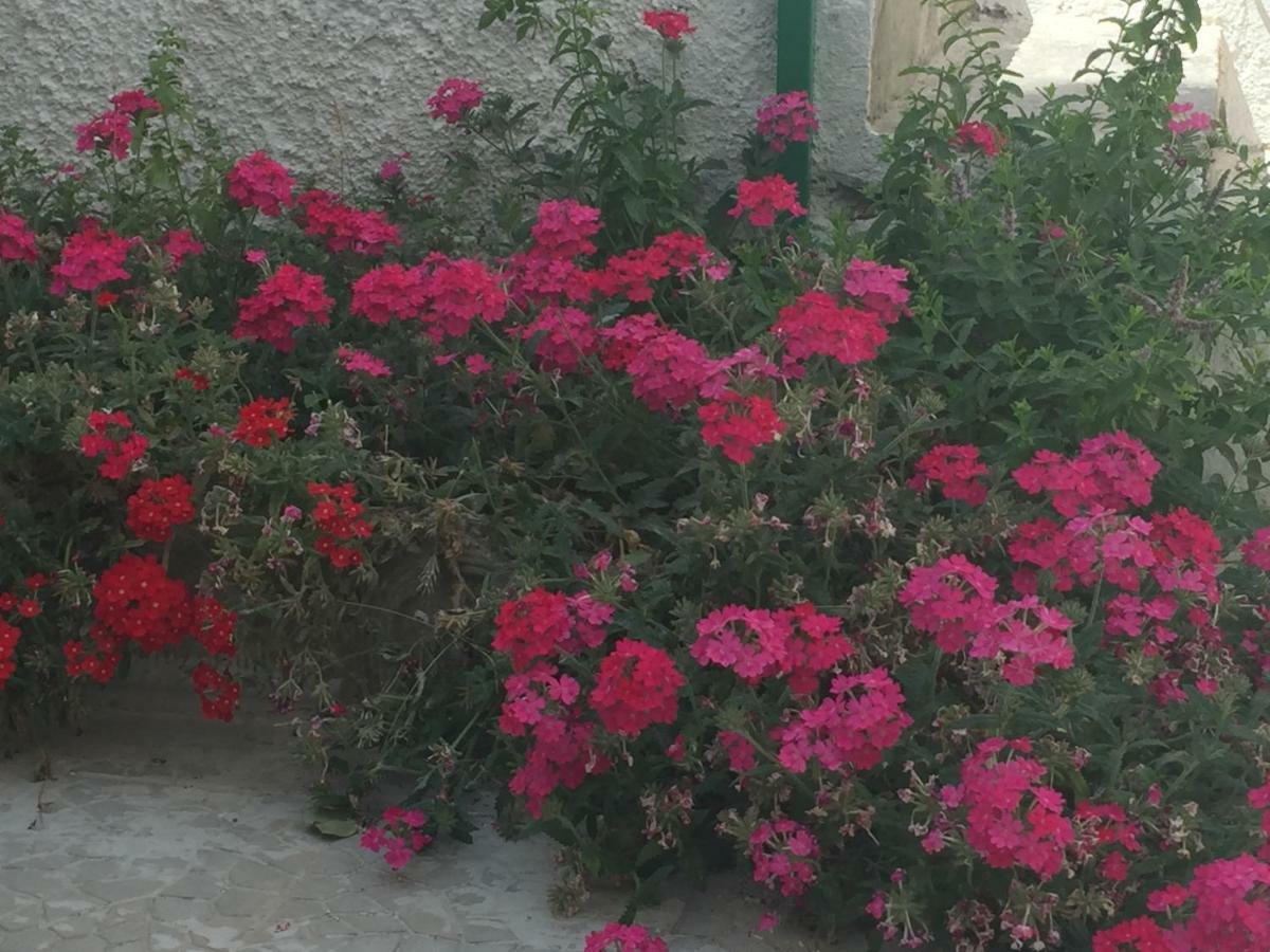 Casa Sul Mare - Wifi Free - Parcheggio Privato Lejlighed San Foca Eksteriør billede